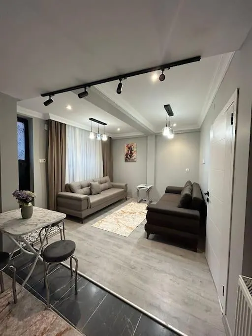 Appartamento Yeni , Merkezi , Galata'Da #1 Provincia di Provincia di Istanbul Turchia